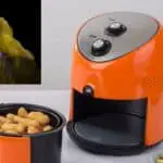 Are air fryers bad for pet birds?