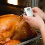 Can you cook with a meat thermometer in the oven?