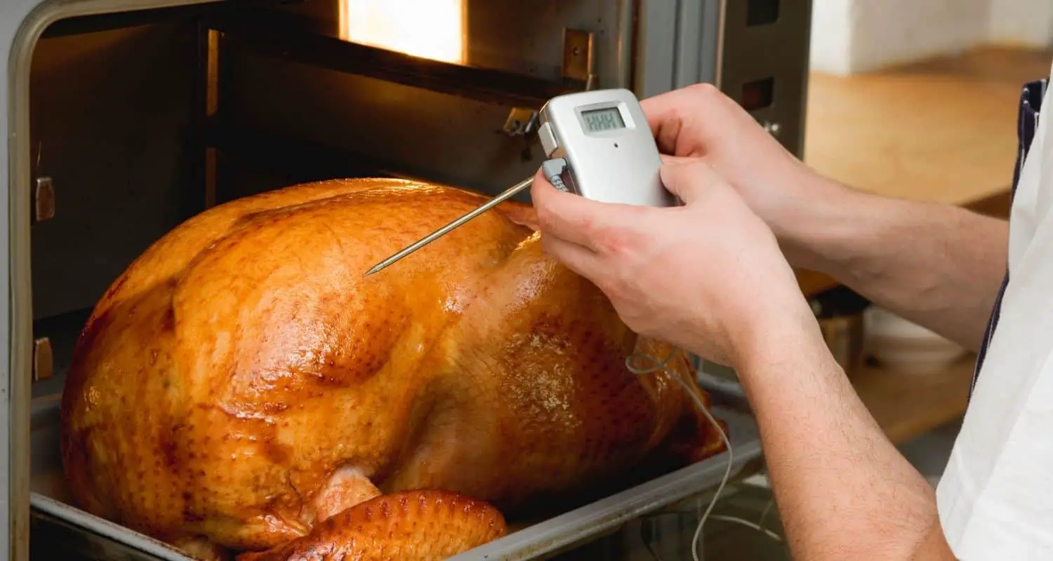 Can you cook with a meat thermometer in the oven?