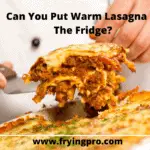 Can You Put Warm Lasagna In The Fridge?