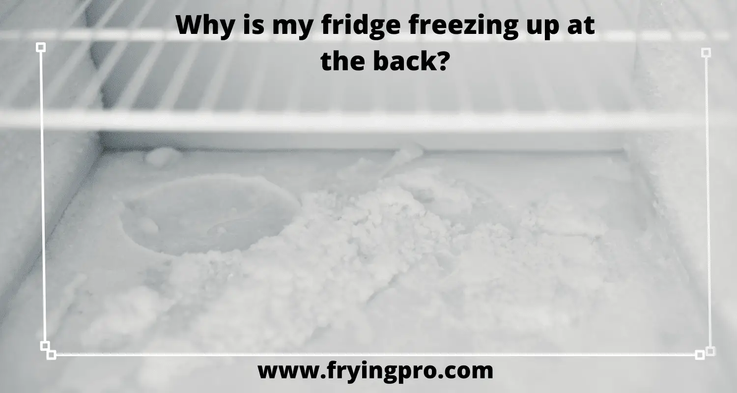 Why is my fridge freezing up at the back?