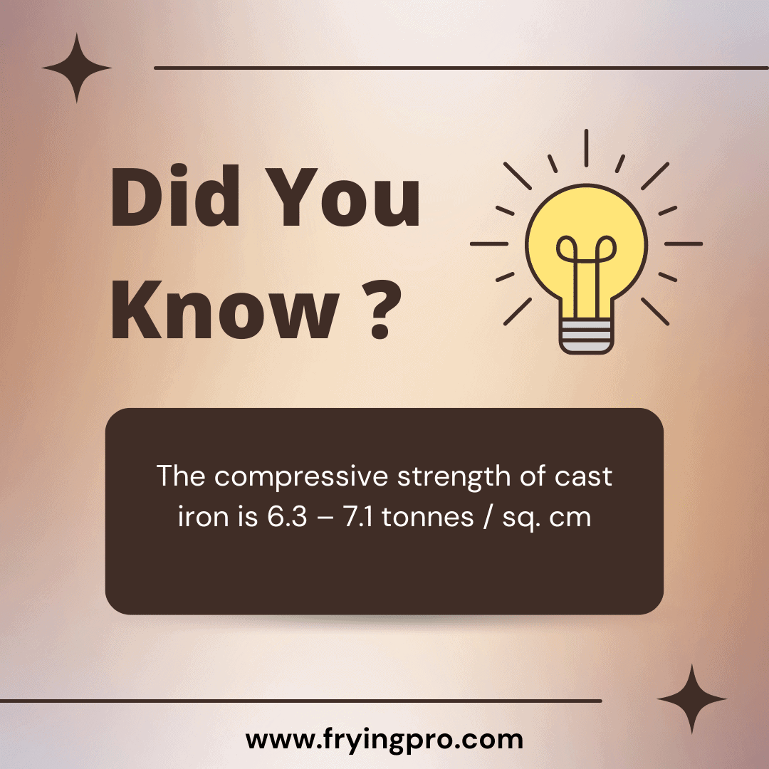 Can you cook in a cast iron skillet with rust? Frying Pro