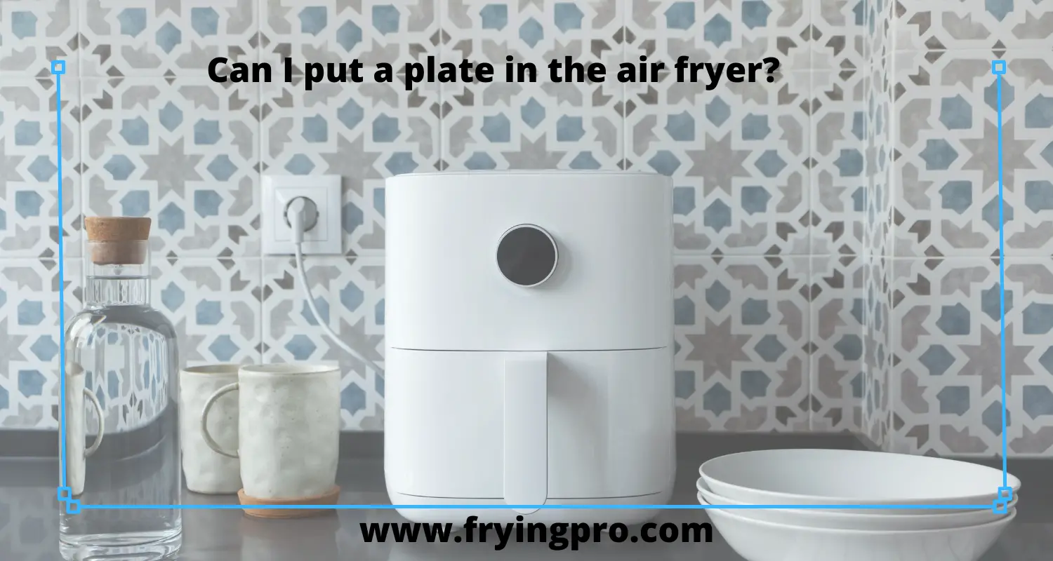 Can I put a plate in the air fryer?